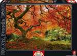 EDUCA16310 Пазл 1500 деталей Осень в японском саду